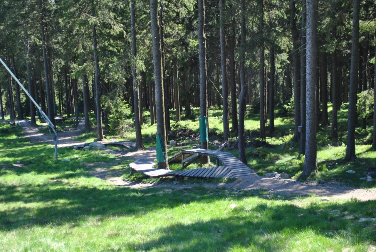 Apartamento Harz-Rose Braunlage Exterior foto