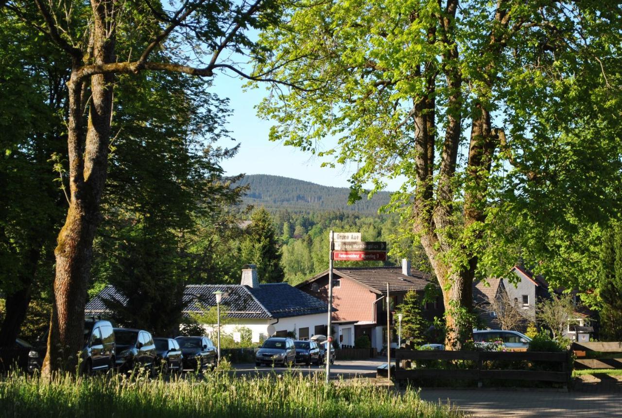 Apartamento Harz-Rose Braunlage Exterior foto