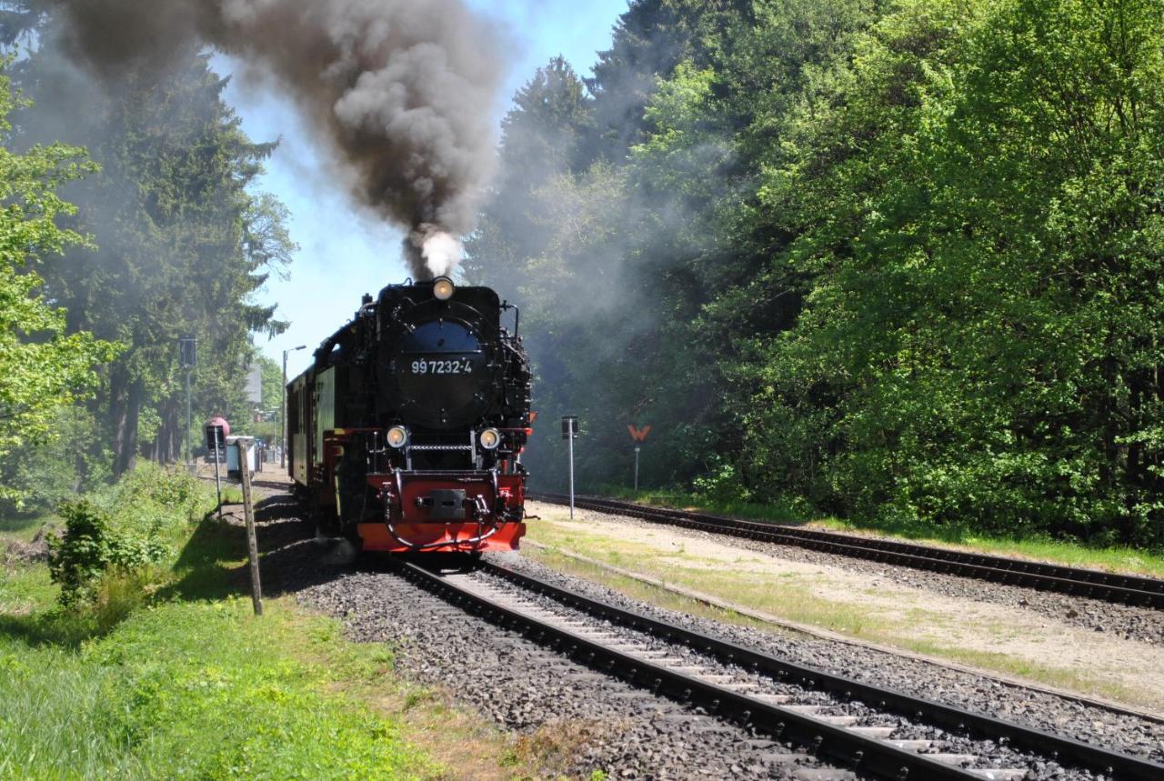 Apartamento Harz-Rose Braunlage Exterior foto