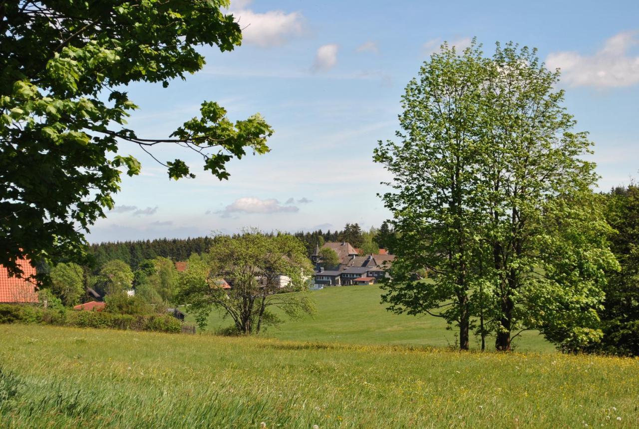 Apartamento Harz-Rose Braunlage Exterior foto