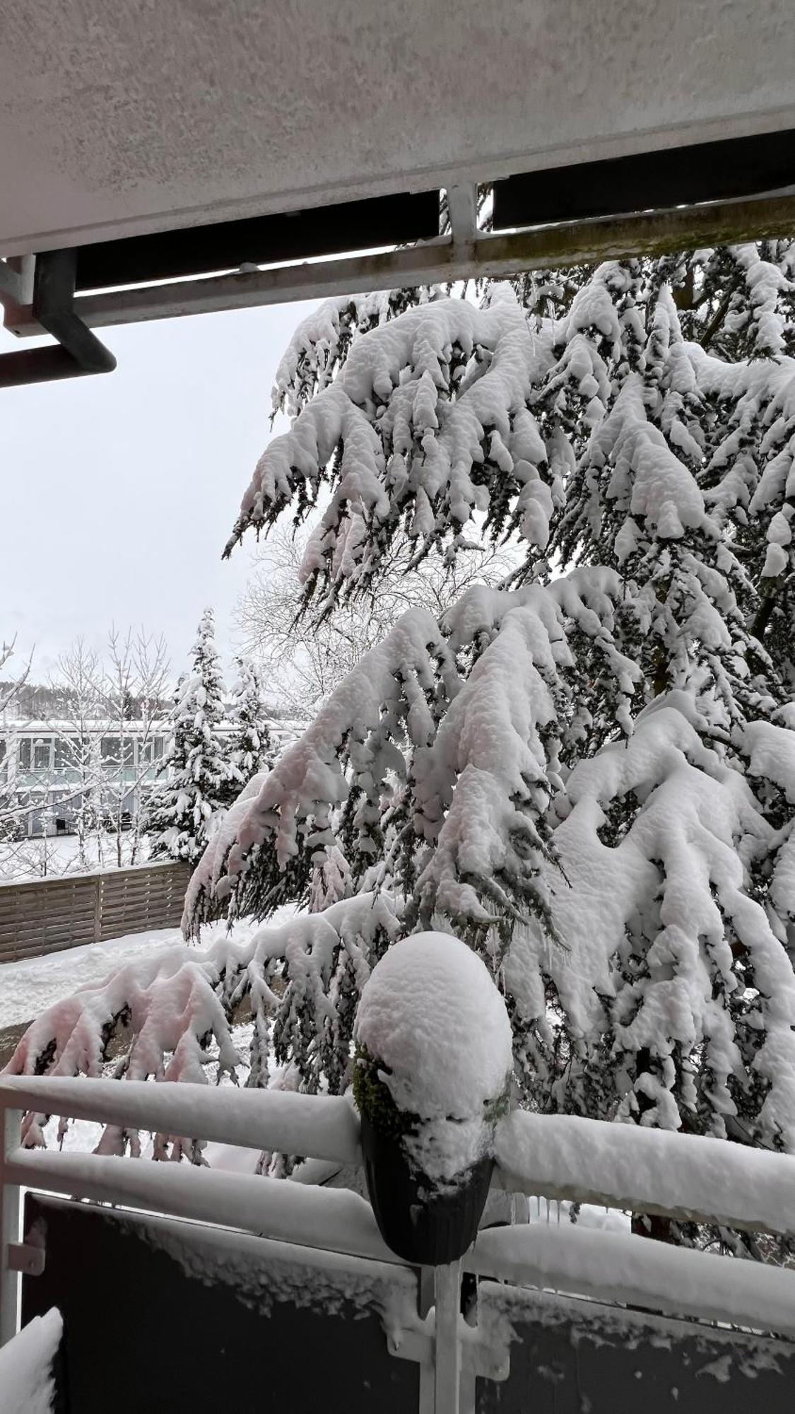 Apartamento Harz-Rose Braunlage Exterior foto